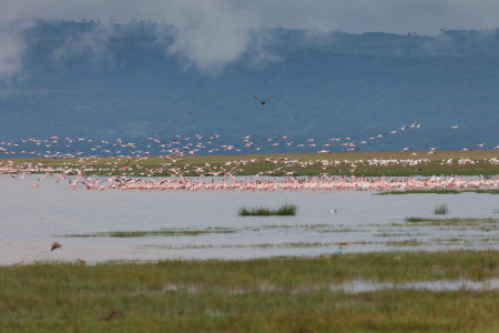 ESPECIAL KENIA SEMANA SANTA