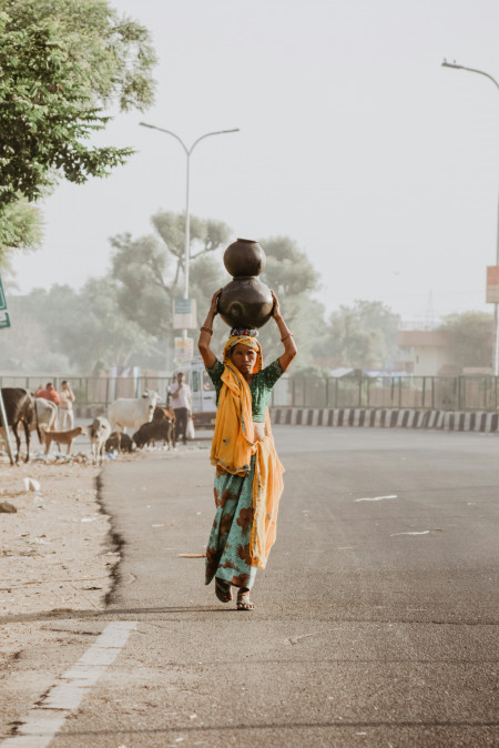 INDIA ESPECIAL CON GUÍA ACOMPAÑANTE